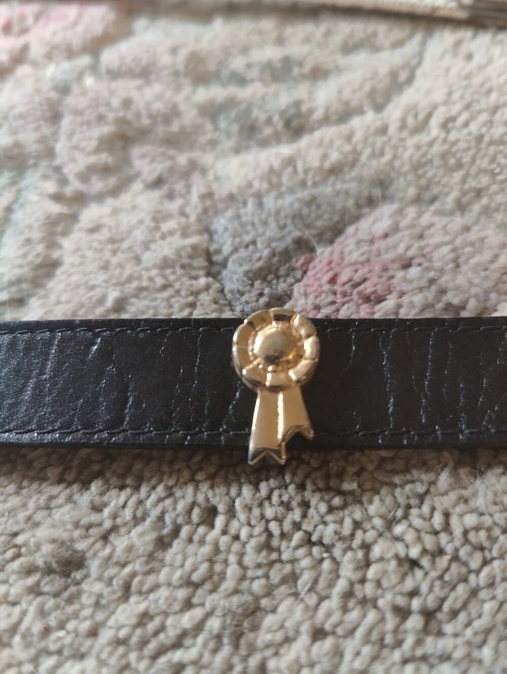 Black Women's Equestrian  Leather Blue Ribbon Belt